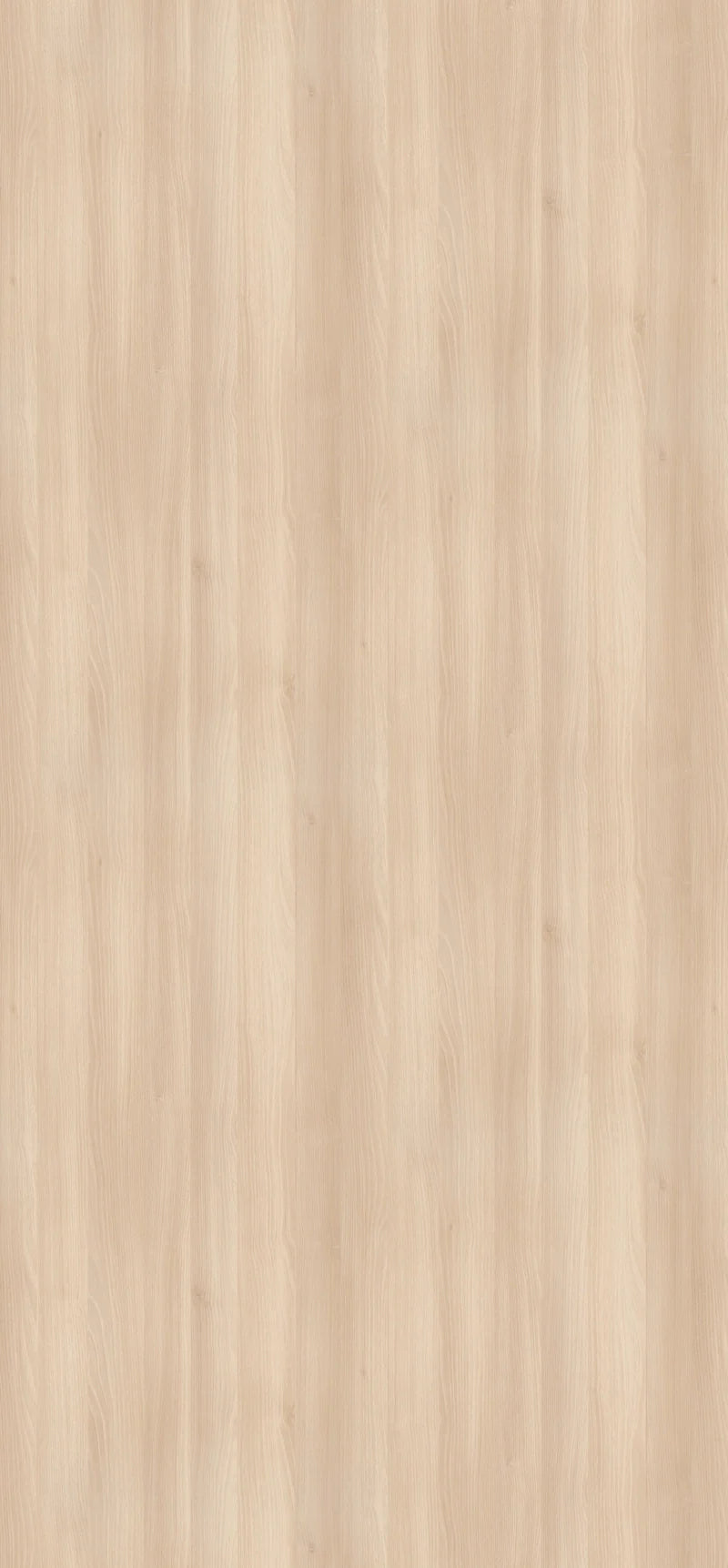 H1277-ST9 Light Lakeland Acacia