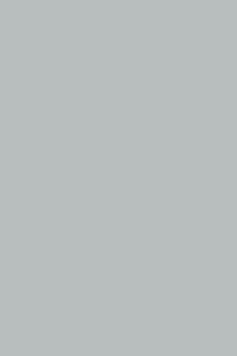 1700-PE Steel Grey