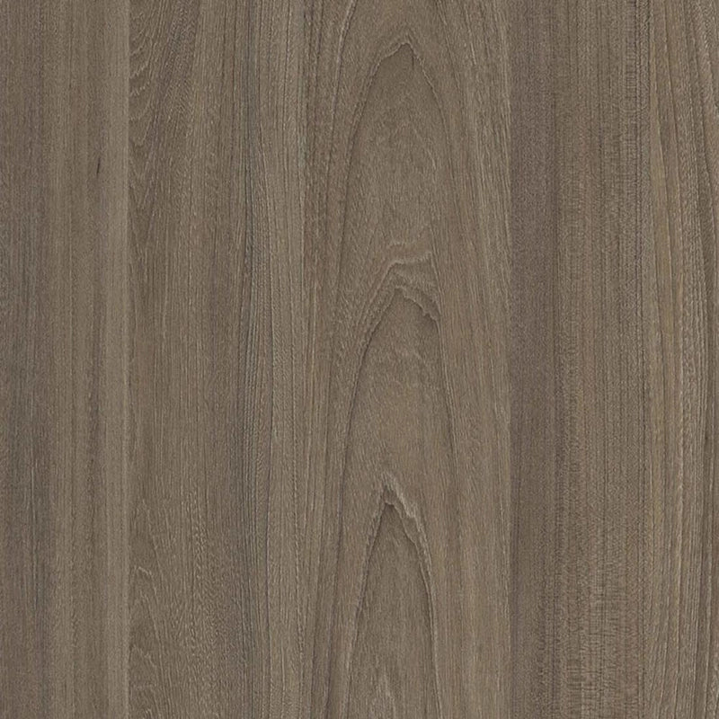 6597-SU Dark Noble Elm