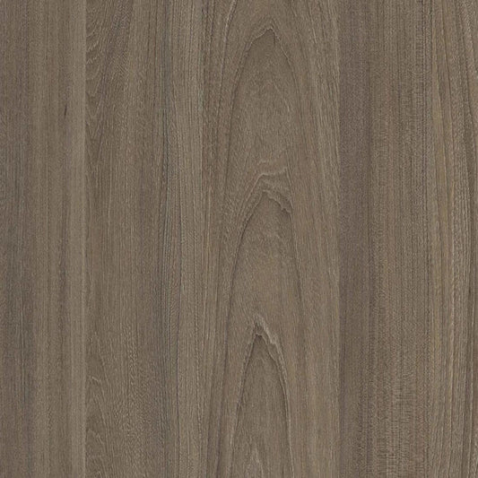 6597-SU Dark Noble Elm