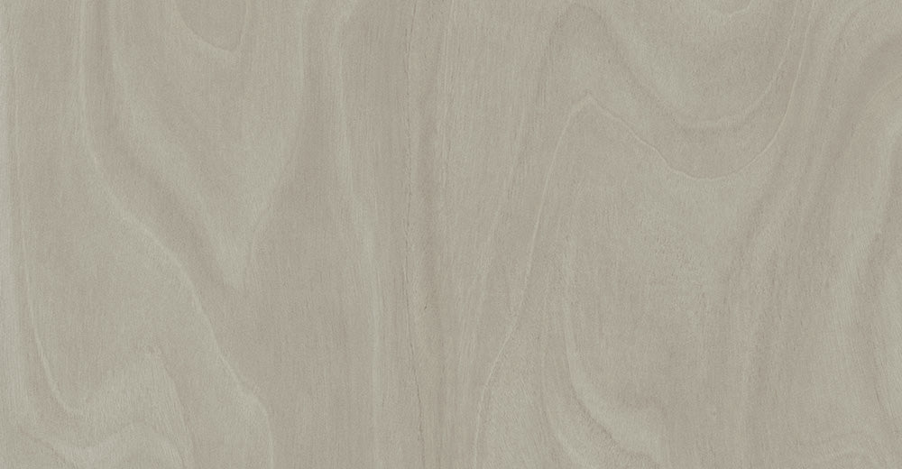 Saviola P81 Grey Leonardo