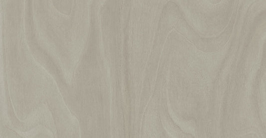 Saviola P81 Grey Leonardo