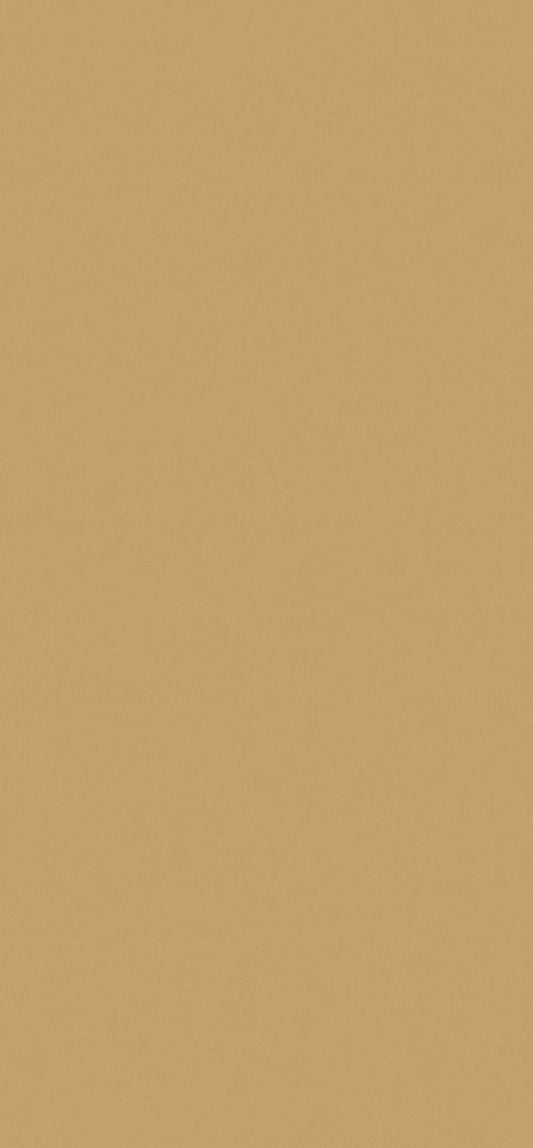 F527-ST20 Golden Brushed Metal