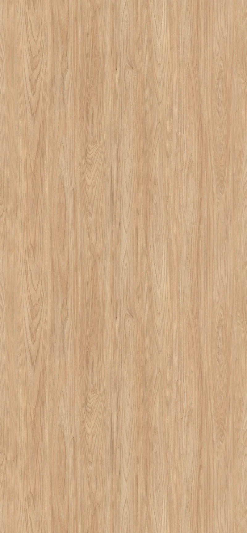 H1242-ST10 Natural Sheffield Acacia