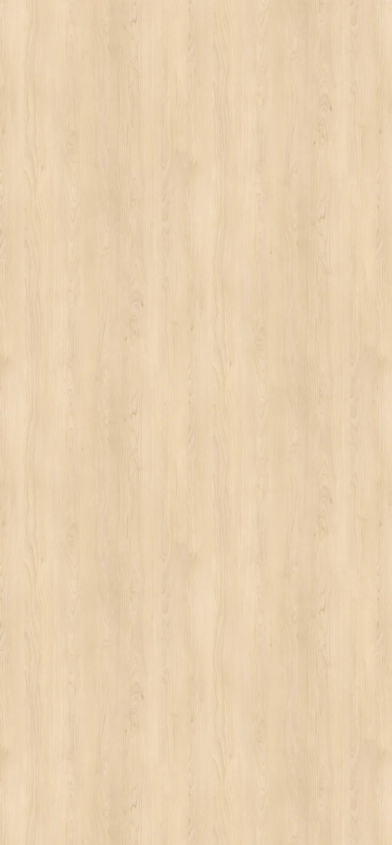H1732-ST9 Sand Birch