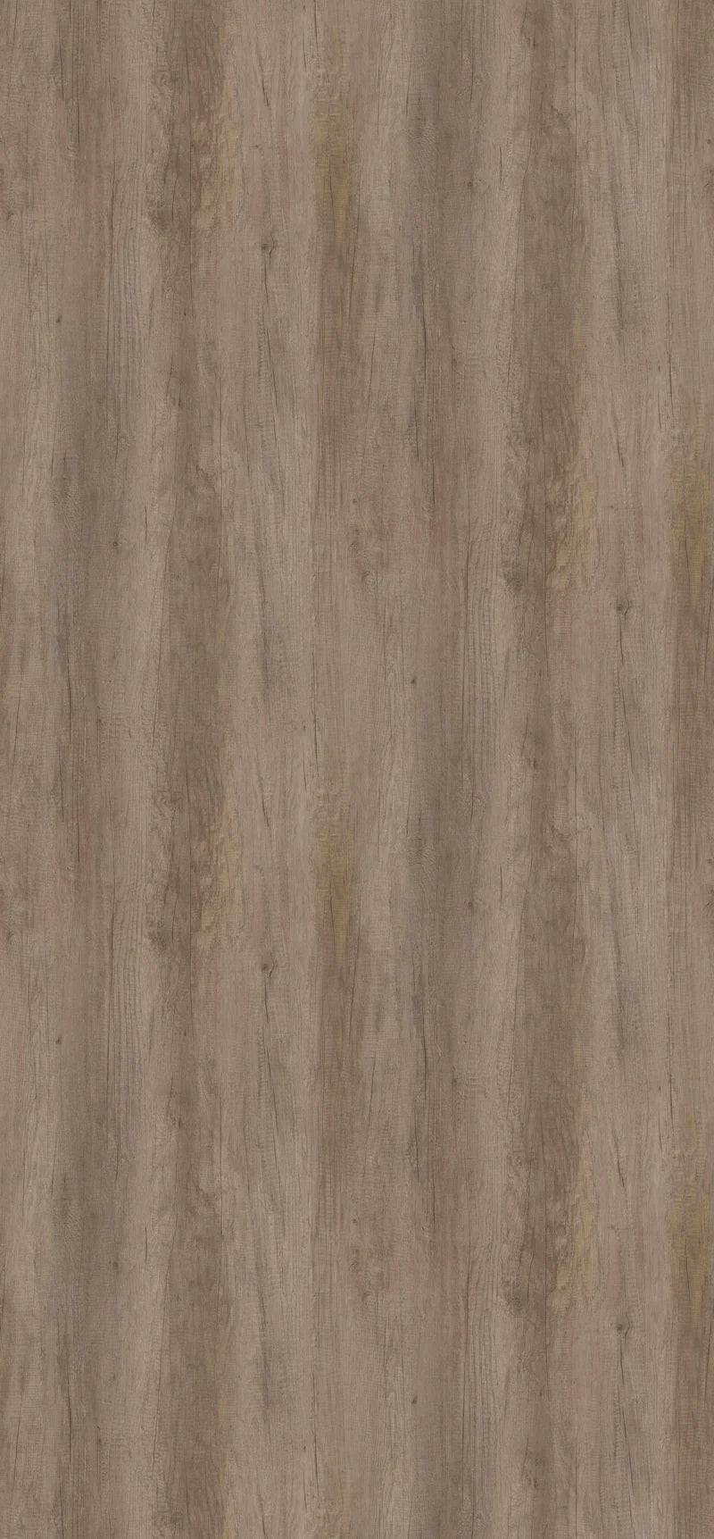 H3332-ST10 Grey Nebraska Oak