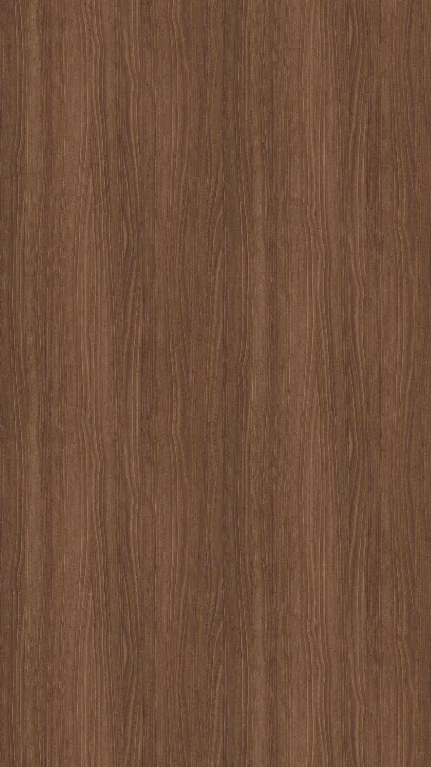 H3787-ST19