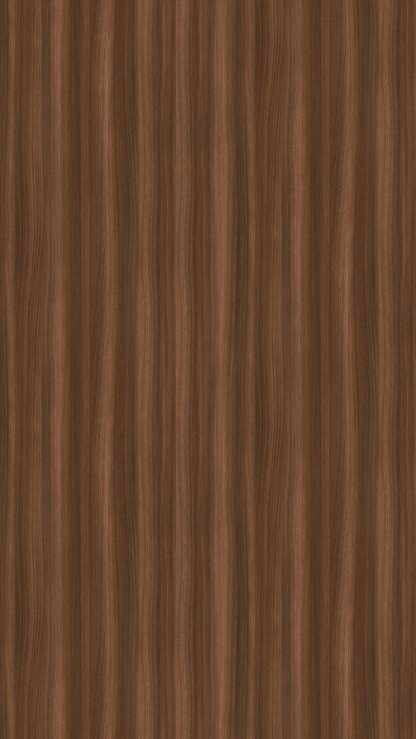 H7586-ST17