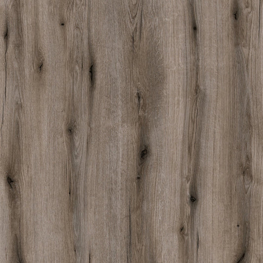 K366-PW Fossil Evoke Oak