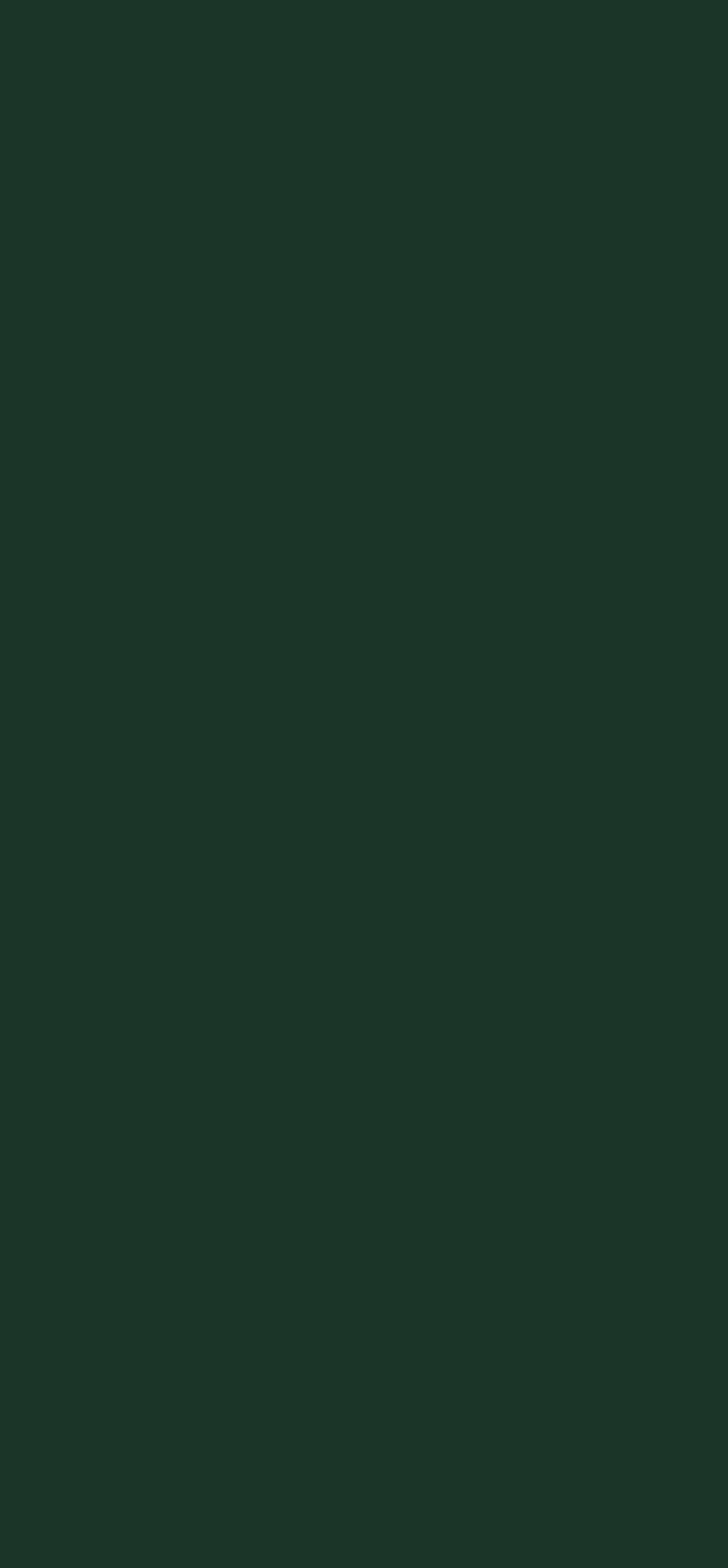 U699-ST9 Fir Green